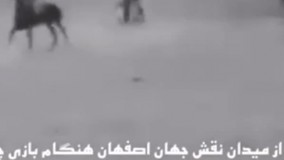 کمپین چوگان ایرانی است 