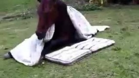 وقتی منو واسه سحری بیدار میکنن تو رو خدا 5دقیقه دیگه بذارید بخوابم