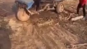 پت و مت واقعی ☝️????????????????????????????