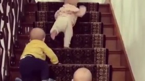 پرورش جوجه ????????