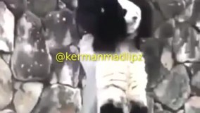 خیلی خیلی خنده دار حتما ببینید پشیمون نمیشید مردا چی میکشن