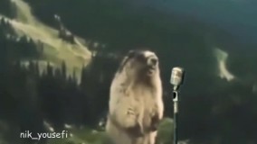 تا اخرش نگا کنید????