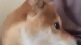 وقتی معلم میومد سرکلاس و می‌گفت میخوام ازتون درس  بپرسم ????