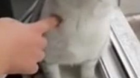 وقتی مهمونای فامیل برا افطاری میان و رمز وای فای میپرسن ????