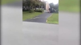 چه دس فرمونی داره نیم وجبی