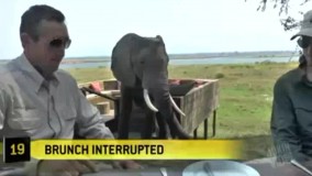 پاشید دیگه بابا.برید خونه هاتون.به چه زبونی بگم اخه؟