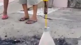 پرتاب اولین مارمولک به فضا !!!