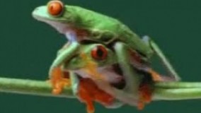 وقتی داری برای خودت زندگیتو میکنی ، میندازنت تو هچل