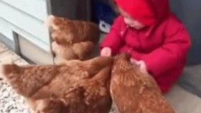 چرا افتاد ????