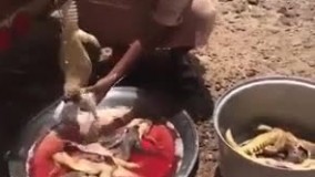 واقعا اینا چه جوری سوسمار میخورن ؟! فکر کن مامانت بگه امروز زرشک‌پلو با سوسمار داریم ????