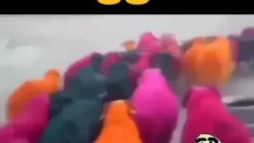 وقتی چوپانی و گوسفندان رو میسپری دست زنت ...