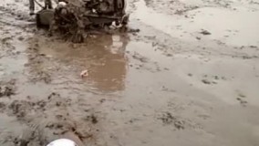 مثل مرد ترسید !!!