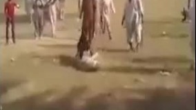 وقتی از بین این همه آدم فقط یک گاو توانست به دعوا خاتمه دهد❗️