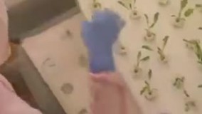 تکنولوژی کاشت در بزرگترین مزرعه سرپوشیده جهان!