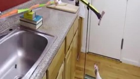 کی گفته مرغ شکم پر درست کردن سخته ????????????