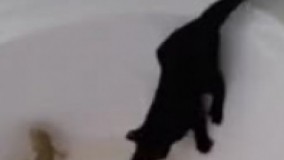 وااااااااااااااااای ترکیدم از خنده