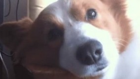 وقتی یهو یادم میاد فردا امتحان دارم! ????????