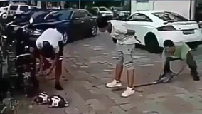 داداچ اشتباه زدی????????????