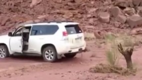 خنده دار ترین ویدیو (اقا اون ریش نداره ولی ریشه داره که)