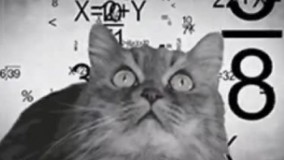 کابوسِ شبِ امتحان????????