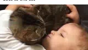 چقد قشنگ داره باهاش حرف میزنه اونم داره گوش میده