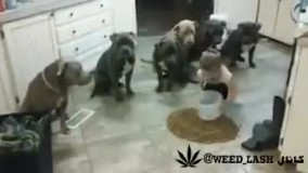 فهم و شعور و ادب تا چه حد آخه