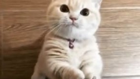 استاد تو رو خدا فقط یـه نــمره