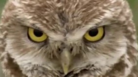 مراقب امتحان وقتی یه صدایی میشنوه