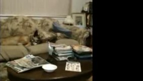 پاشو دیگه شور خواب و دراوردی بابااااا