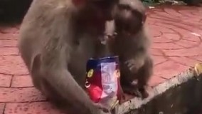 بده مام بخوریم ننه