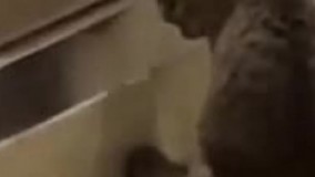 بوسش کرد؟????قاعدتا باید میخوردش????