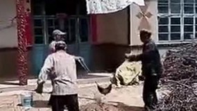 کار گروهی یعنی این????????