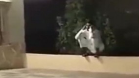 وضعیت دیشب پادشاه  سعودیا