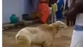 نا مردی میزنی! !!! پس اینو از من داشته باش!!!