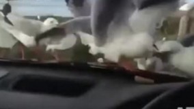 وقتی اذون مغرب می گن