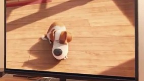 اینم از اثار مخرب فیلم ه