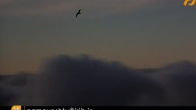 فیلم سینمایی جاناتان مرغ دریایی بادوبله فارسی