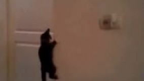 پسرا در سنین ٤ الى ٧ سالگى ????