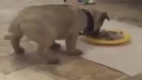 روحش به پرواز در اومد