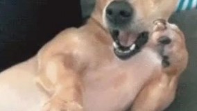 لحظه ای که سایت دانشگاه رو باز میکنم و نمره هامو میبینم