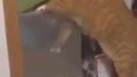 وقتی همه روزه ان بجز تو 