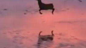 وقتی میفهمی این ترم مشروط نشدی