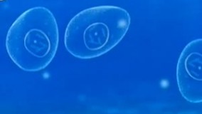 حیات چگونه شکل گرفت؟ 