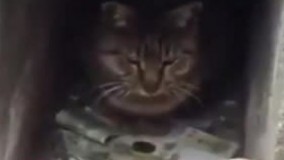 سوراخ مهربانی... داری بزار، نداری غلط میکنی دست میزنی