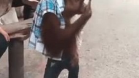 فکر کنم دستش به اون کسی که منتظرشه برسه پوستش کندس