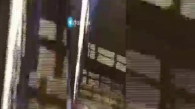 فیلم از تیراندازی صبح امروز در فرودگاه مهرآباد