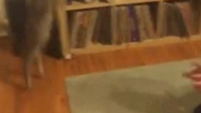 بپر بغلم ????????