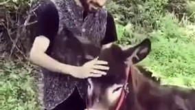 هر بار این خرو محکم نبند نرو... :-))))) خیلیییی باحاله