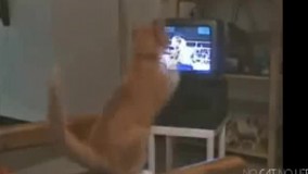 اهان ممد بزن دیگه داداش