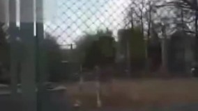 یه میکس عالی از رقص حیوانات